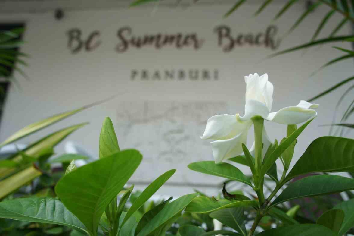 Bc Summer Beach Pran Buri Eksteriør bilde